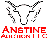 Anstine Auction LLC