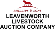 Phillips & Sons Leavenworth Livestock Auction